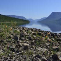 *** :: Александр Хаецкий