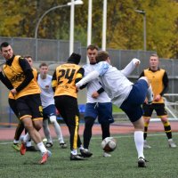 ГОЛЕВОЙ УДАР. :: Наталья Вязигина