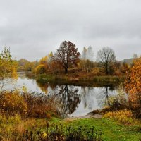 Яркая картинка осени в октябре. :: Милешкин Владимир Алексеевич 