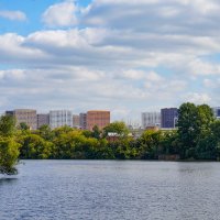 Новостройки :: Ольга Новостройки :: Ольга