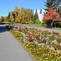 Осень в городе :: ирина 
