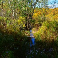 Чебоксары. Речка Чебоксарка в среднем течении осенью. :: Пётр Чернега Чебоксары. Речка Чебоксарка в среднем течении осенью. :: Пётр Чернега