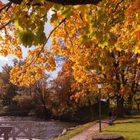 *** :: Геннадий Порохов