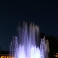 Вечернее шоу :: Ольга 