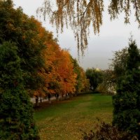 Вот и каштаны меняют окраску. :: Татьяна Помогалова