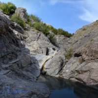 Природа Крыма :: Amazing Cosmea