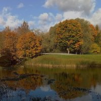 На скрипке то минорит, то дарит вновь мажор... :: Татьян@ Ивановна