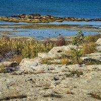 Берег :: Анатолий Чикчирный