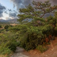 Милютинский парк :: skijumper Иванов