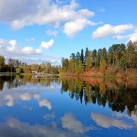 Пейзаж с отражением. :: Лия ☼