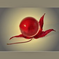 ЭТЮД... :: Elvira E. ЭТЮД... :: Elvira E.