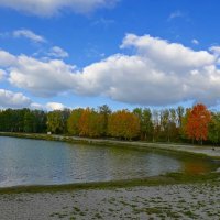 В осенних ритмах жизнь так хороша, Светла и бесшабашно-разноцветна.... :: Галина 