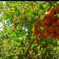 114 (53) :: CLOSE WAYS ALL