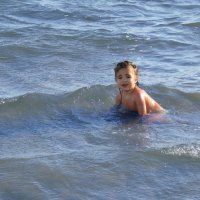 Охотское море  летом 2025 года было удивительно теплым. :: ИРЭН@ .