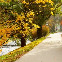 Осенняя аллея :: Юрий. Шмаков Осенняя аллея :: Юрий. Шмаков