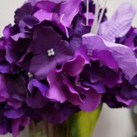 * * * :: Алёна Савина * * * :: Алёна Савина