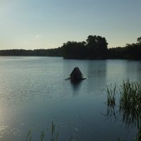 Солнце взошло :: Марина Виноградова