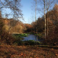 Люблю я пышное природы увядание... :: olegdanilhenko Олег Данильченко