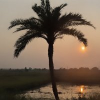 Капли заката :: liudmila drake Капли заката :: liudmila drake