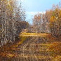 Осенью :: Сергей Никифоров
