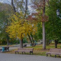 Золотая осень.. :: Евгений 