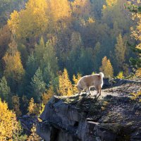 Золотой шторм :: Vadm Slutsky