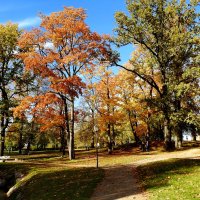 осень :: ИННА ПОРОХОВА