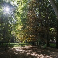 На природе :: Michael M