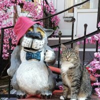 Друзья понимают друг друга без слов! :: Людмила Жданова