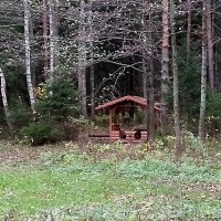 Лесной домик. :: Михаил Попов