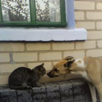 Знакомство :) :: Наталья 