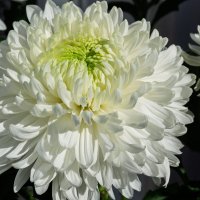 *** :: Виктор Иванович Чернюк *** :: Виктор Иванович Чернюк