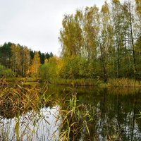 Природа Смоленщины в октябре. :: Милешкин Владимир Алексеевич 
