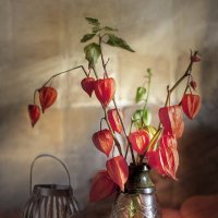 Горят фонари осенние... :: Bosanat Горят фонари осенние... :: Bosanat