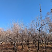 Октябрь в Караганде :: Андрей Хлопонин