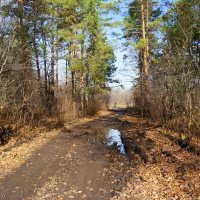 По дорогам октября... :: Андрей Заломленков По дорогам октября... :: Андрей Заломленков