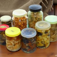 С Международным днём консервации! :-) :: Андрей Заломленков