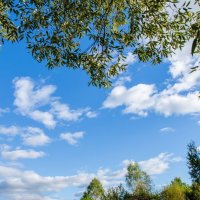 Небо :: Галина Ложечникова