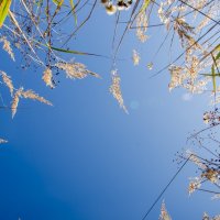 Небо :: Галина Ложечникова