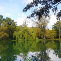 Октябрь :: Рита Симонова