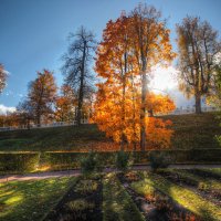 *** :: Сергей Григорьев