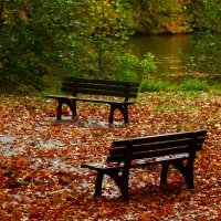 Осенние скамейки :: Юрий. Шмаков