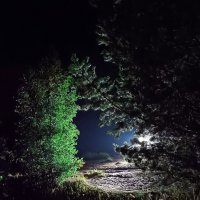 Случайный свет фар... :: Ирина *