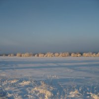 Утро :: Anna Ivanova