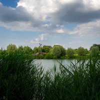 Через тростник... :: Николай Гирш