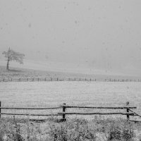 Снег идёт... :: Алексей Мезенцев