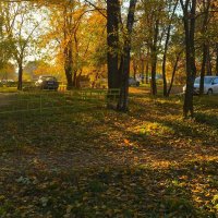 В парке на Речном. :: Olga Oskolkova