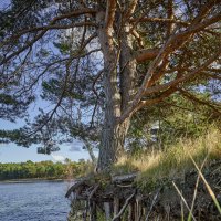 Tallinn, Fotograaf Arkadi Baranov, FEP, Estonia :: Аркадий Баранов Arkadi Baranov Tallinn, Fotograaf Arkadi Baranov, FEP, Estonia :: Аркадий Баранов Arkadi Baranov
