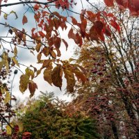 Вот это цвет :: sorovey Sol