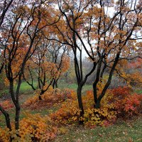 Осень на Мамаевомъ кургане :: Олегъ Петрович